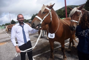 Les Estables : 50 chevaux comtois et ardennais au concours &quot;modèle et allures&quot;