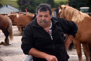 Les Estables : 50 chevaux comtois et ardennais au concours &quot;modèle et allures&quot;