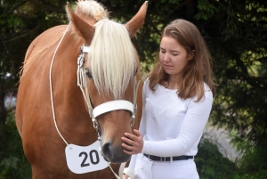 Les Estables : 50 chevaux comtois et ardennais au concours &quot;modèle et allures&quot;