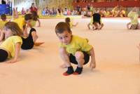 Monistrol-sur-Loire : 300 gymnastes au gala de fin d&#039;année