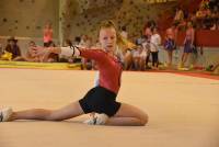 Monistrol-sur-Loire : 300 gymnastes au gala de fin d&#039;année