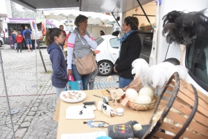 Sainte-Sigolène : quarante exposants pour la foire d&#039;été en ville