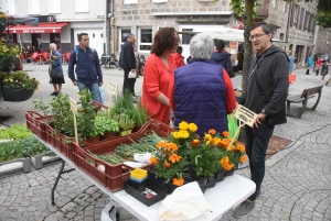 Sainte-Sigolène : quarante exposants pour la foire d&#039;été en ville