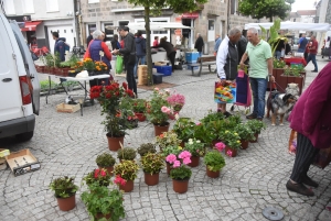 Sainte-Sigolène : quarante exposants pour la foire d&#039;été en ville