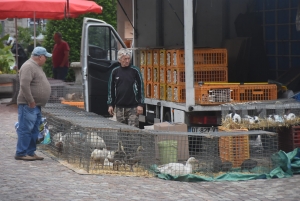 Sainte-Sigolène : quarante exposants pour la foire d&#039;été en ville