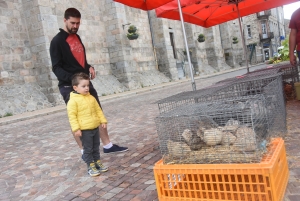 Sainte-Sigolène : quarante exposants pour la foire d&#039;été en ville