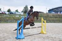 Une première édition de la Nuit du cheval et du poney réussie