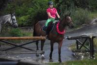 Une première édition de la Nuit du cheval et du poney réussie