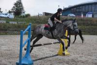 Une première édition de la Nuit du cheval et du poney réussie