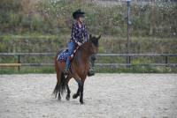 Une première édition de la Nuit du cheval et du poney réussie