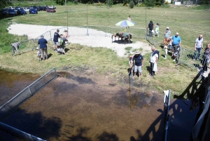 Sainte-Sigolène : des poissons et des enfants à la pêche à Vaubarlet