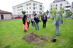 Bas-en-Basset : deux arbres fruitiers plantés pour symboliser les 31 naissances de 2022