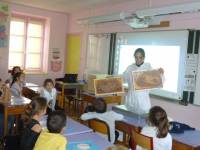 Lapte : une nuée d&#039;abeilles à l&#039;école Saint-Régis