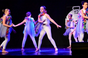 Yssingeaux : le gala de danse explore le pays d&#039;Alice