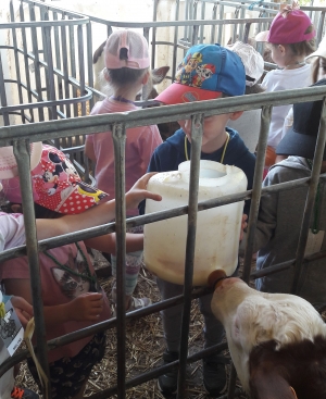 Bas-en-Basset : les maternelles de l&#039;école Louise-Michel à la campagne pour une journée