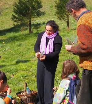 Fay-sur-Lignon : découvrir les plantes au fil de l&#039;été au Mézenc