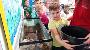 Yssingeaux : l&#039;école se fait dans la nature à Saint-Gabriel