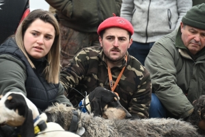 Saint-Romain-Lachalm : les chiens courent derrière le gibier ce samedi en souvenir d&#039;un chasseur décédé