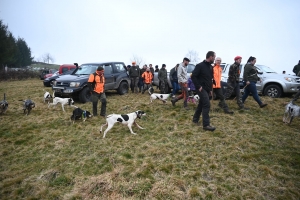 Saint-Romain-Lachalm : les chiens courent derrière le gibier ce samedi en souvenir d&#039;un chasseur décédé