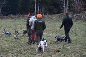 Saint-Romain-Lachalm : les chiens courent derrière le gibier ce samedi en souvenir d&#039;un chasseur décédé