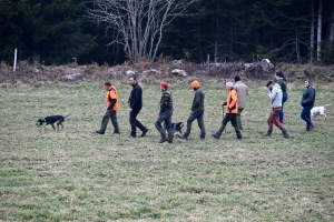 Saint-Romain-Lachalm : les chiens courent derrière le gibier ce samedi en souvenir d&#039;un chasseur décédé