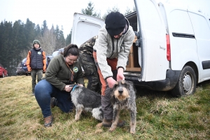 Saint-Romain-Lachalm : les chiens courent derrière le gibier ce samedi en souvenir d&#039;un chasseur décédé