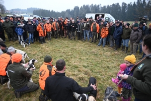 Saint-Romain-Lachalm : les chiens courent derrière le gibier ce samedi en souvenir d&#039;un chasseur décédé