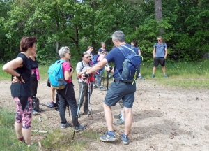 Une fin de saison en apothéose pour le club de marche nordique bassois