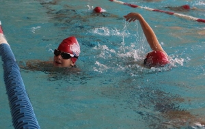 Monistrol-sur-Loire : un 1er meeting départemental de natation... à huit-clos