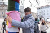 Les arbres de la place de la Victoire prennent de la couleur