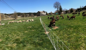 Visites, dégustation, repas : la Bergerie du Vieux Moulin ouvre ses portes les 14 et 15 août