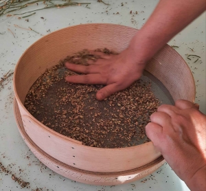 Yssingeaux : le végétal sauvage et local prend racine au lycée George-Sand