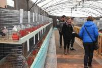 La foire de Saint-Julien-du-Pinet a des allures de mini Salon de l&#039;agriculture