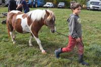 La foire de Saint-Julien-du-Pinet a des allures de mini Salon de l&#039;agriculture