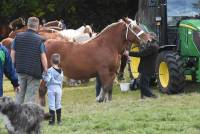 La foire de Saint-Julien-du-Pinet a des allures de mini Salon de l&#039;agriculture