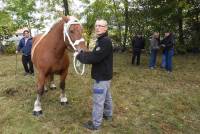 La foire de Saint-Julien-du-Pinet a des allures de mini Salon de l&#039;agriculture