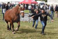 La foire de Saint-Julien-du-Pinet a des allures de mini Salon de l&#039;agriculture