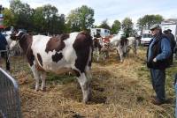 La foire de Saint-Julien-du-Pinet a des allures de mini Salon de l&#039;agriculture