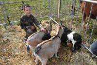 La foire de Saint-Julien-du-Pinet a des allures de mini Salon de l&#039;agriculture