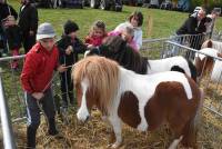 La foire de Saint-Julien-du-Pinet a des allures de mini Salon de l&#039;agriculture