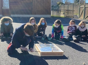 Saint-Maurice-de-Lignon : les écoliers poursuivent leur projet scientifique