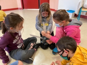 Saint-Maurice-de-Lignon : les écoliers poursuivent leur projet scientifique