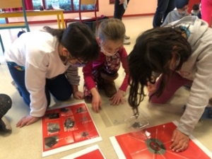 Saint-Maurice-de-Lignon : les écoliers poursuivent leur projet scientifique