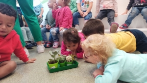 Bas-en-Basset : les maternelles de l&#039;école Louise-Michel reçoivent le prix des « petits jardiniers »