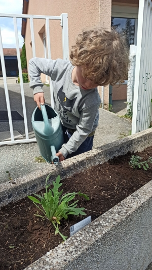 Bas-en-Basset : les maternelles de l&#039;école Louise-Michel reçoivent le prix des « petits jardiniers »