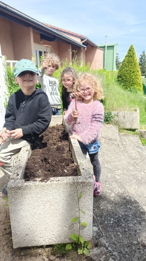 Bas-en-Basset : les maternelles de l&#039;école Louise-Michel reçoivent le prix des « petits jardiniers »