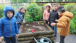 Bas-en-Basset : les maternelles de l&#039;école Louise-Michel reçoivent le prix des « petits jardiniers »