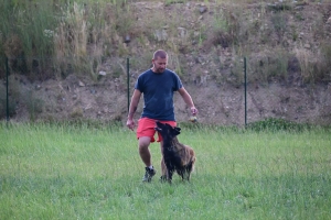 Yssingeaux : le club canin des Sucs prend possession de son nouveau terrain