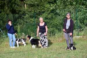 Yssingeaux : le club canin des Sucs prend possession de son nouveau terrain