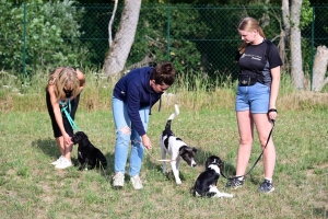 Yssingeaux : le club canin des Sucs prend possession de son nouveau terrain